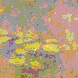 Monet, Nympheas, 15KB