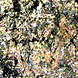 Pollock, Lavendelnebel, 62KB